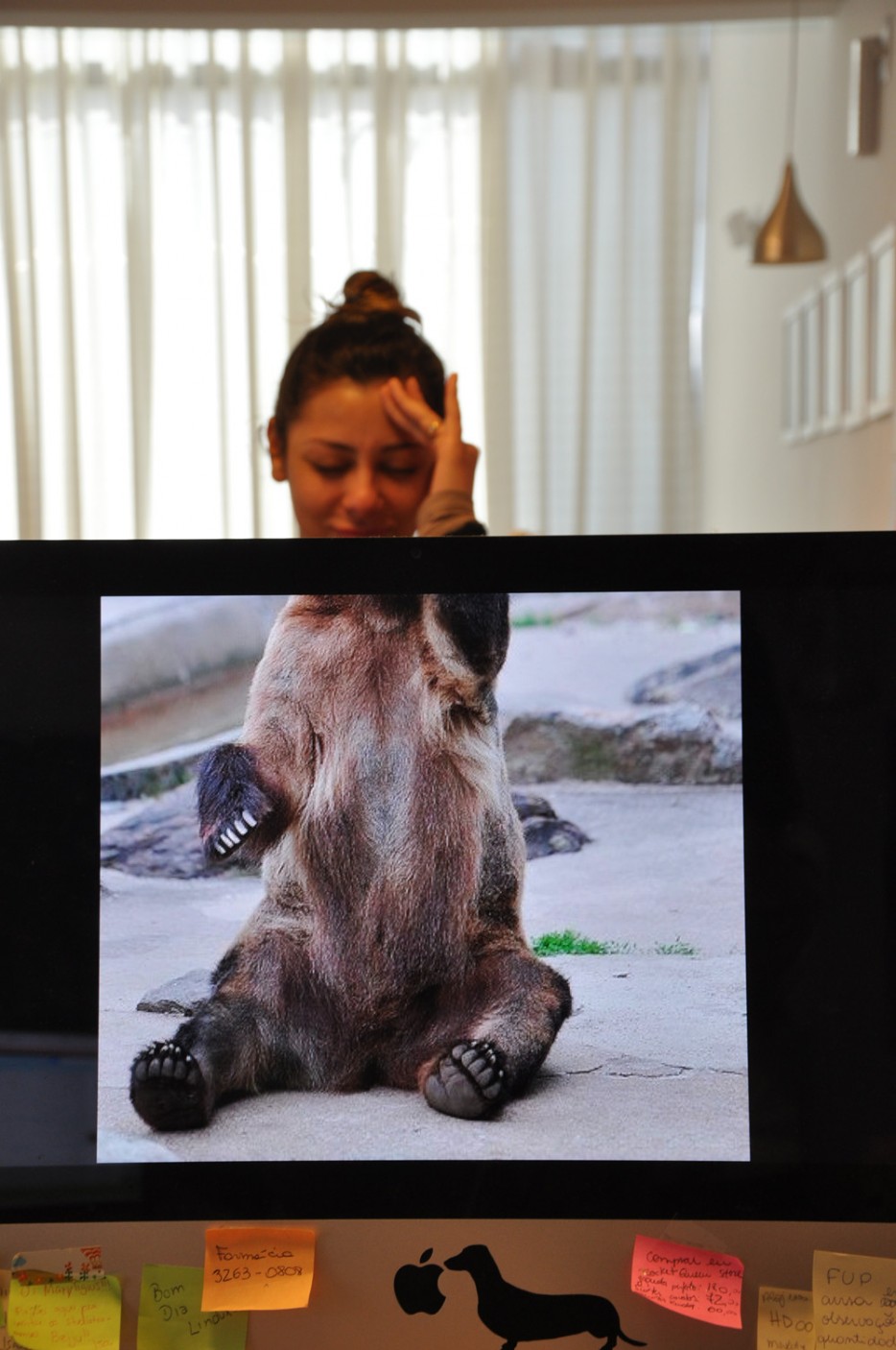 Майк Уайтсайд, Бен Робинсон, Mike Whiteside, Ben Robinson, гибриды людей и животных, Desk Safari, Сафари рабочего стола