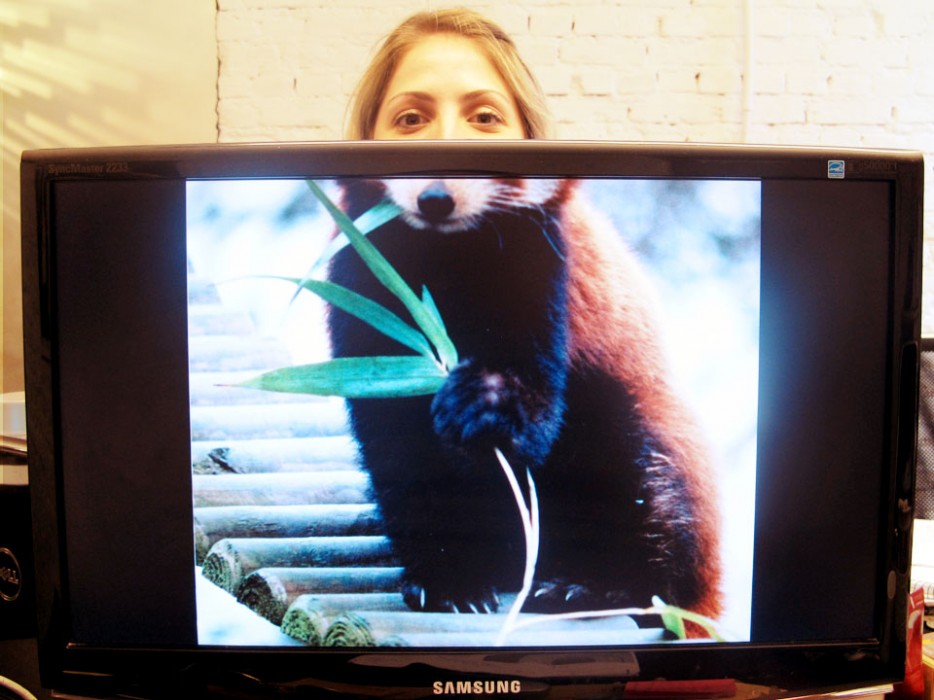 Майк Уайтсайд, Бен Робинсон, Mike Whiteside, Ben Robinson, гибриды людей и животных, Desk Safari, Сафари рабочего стола