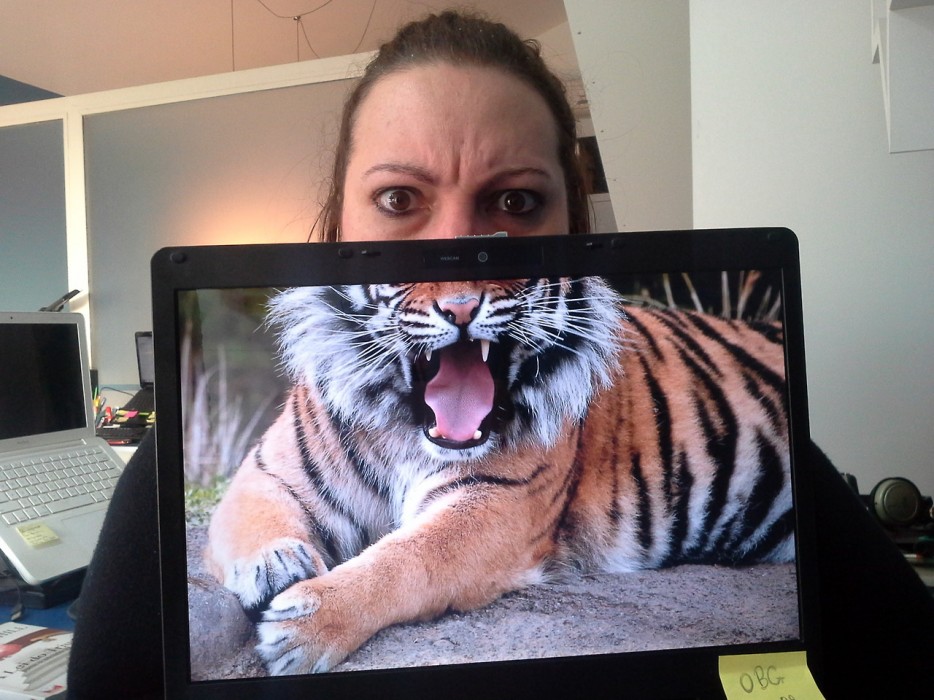 Майк Уайтсайд, Бен Робинсон, Mike Whiteside, Ben Robinson, гибриды людей и животных, Desk Safari, Сафари рабочего стола