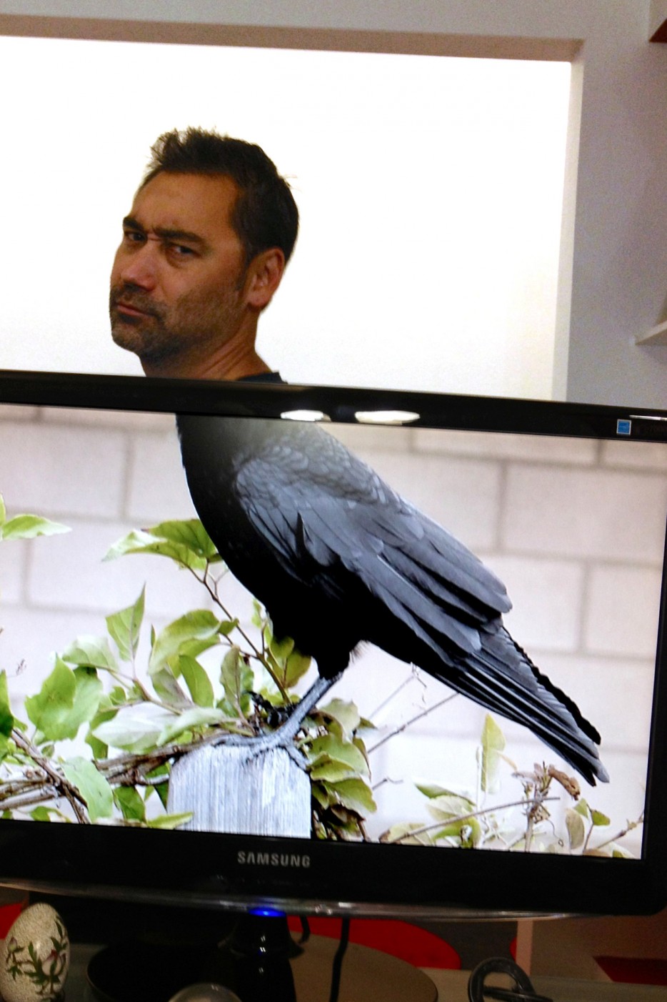 Майк Уайтсайд, Бен Робинсон, Mike Whiteside, Ben Robinson, гибриды людей и животных, Desk Safari, Сафари рабочего стола