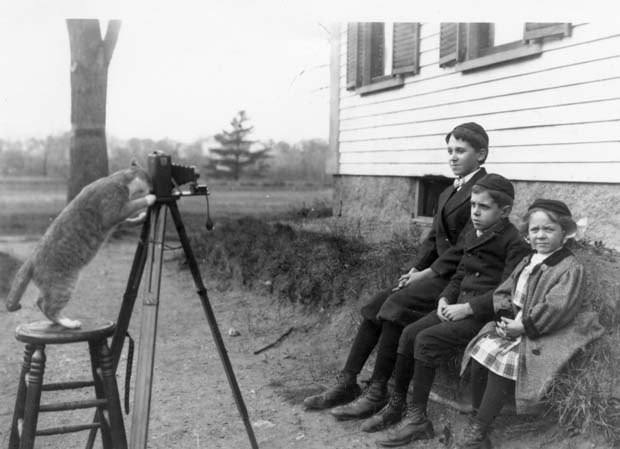 Сценарий история фотографии