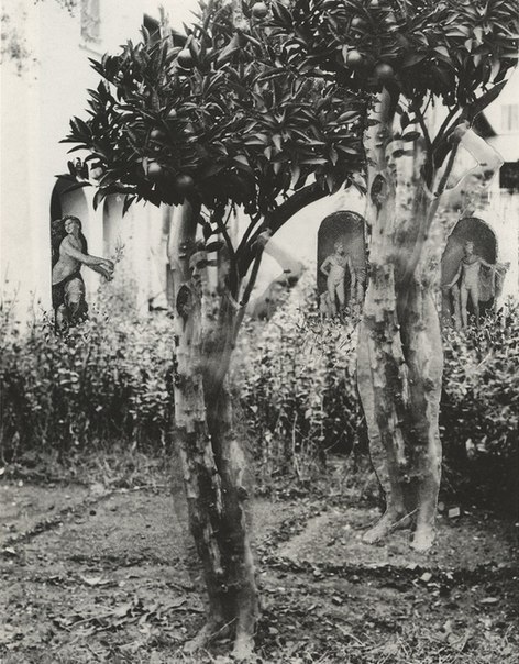 редкие кадры, исторические кадры, архивные фото знаменитостей