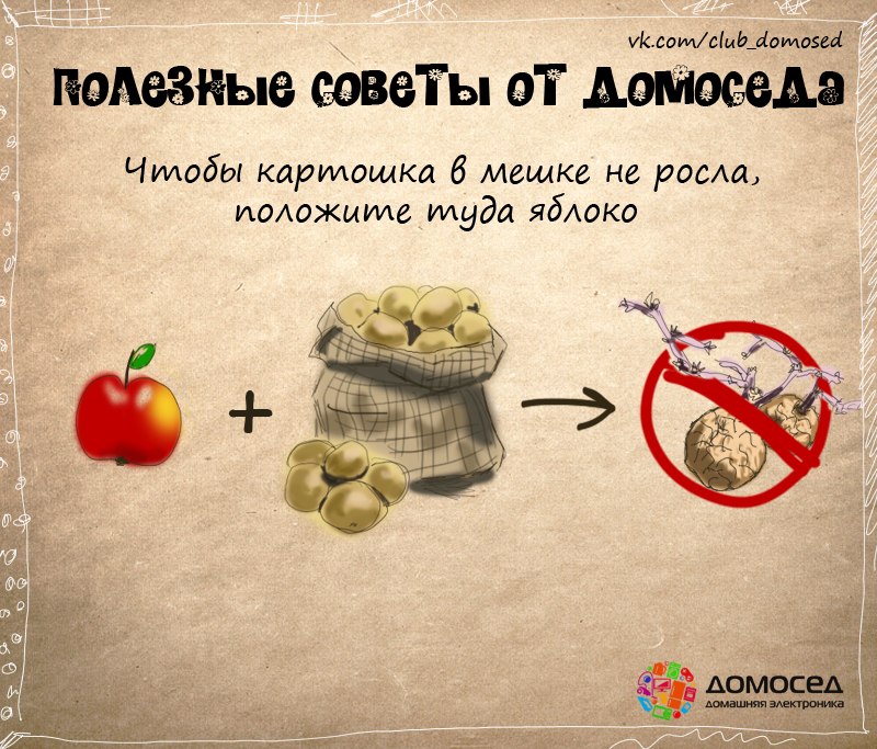 полезные советы от домоседа, полезные кулинарные советы