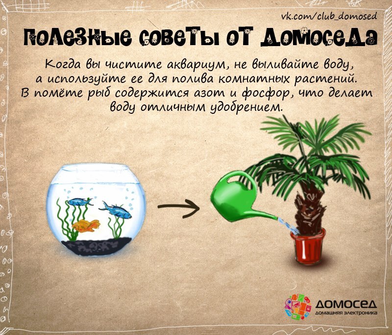 полезные советы от домоседа, полезные кулинарные советы