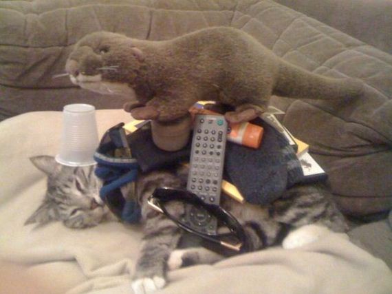 Им просто пофиг, люди, которым всё равно, насрать