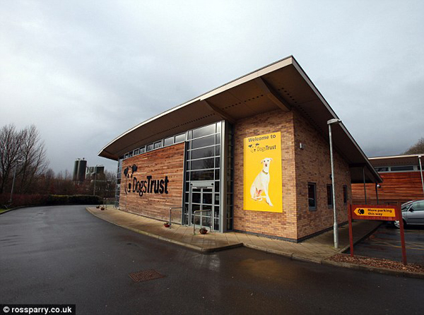 Пес, с двумя носами, двуносый, Snuffles , Снаффлз 