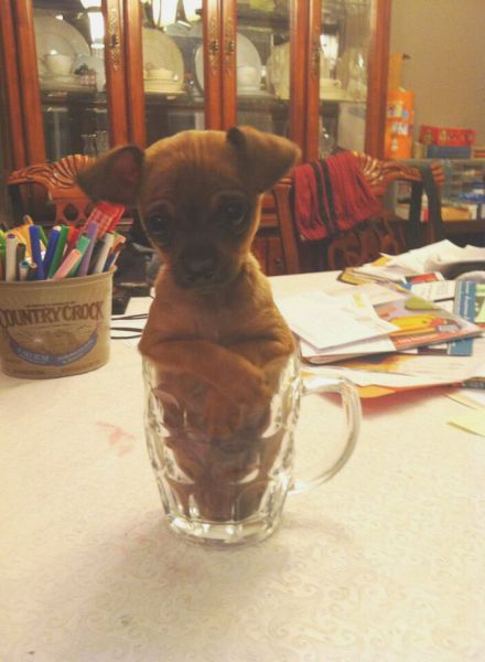 Позитив, юмор, смешные фотографии,прикол