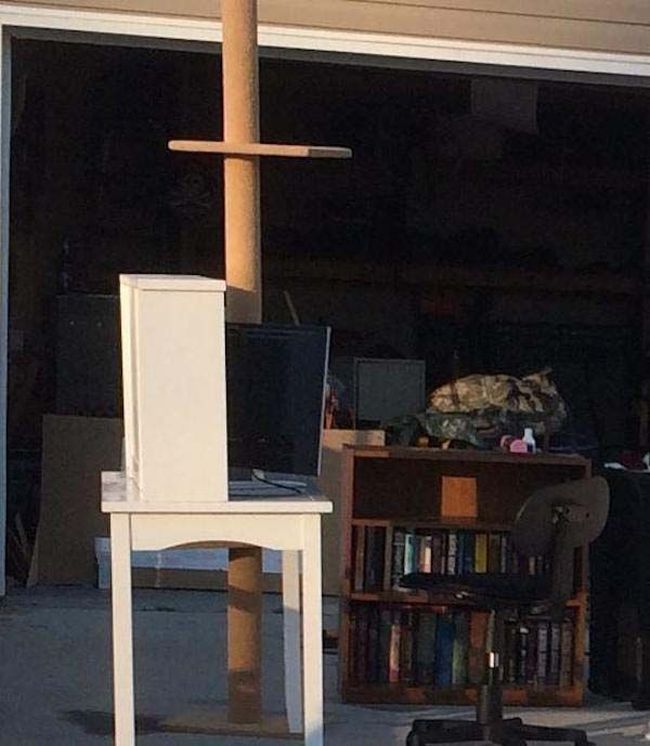 Наказал дочку за грязную комнату, папа вынес мебель на улицу, не убиралаьс в комнате