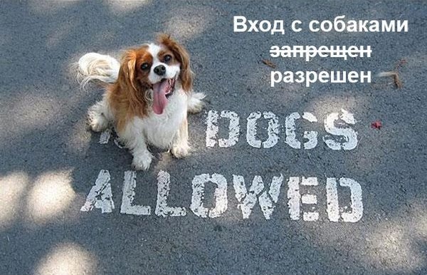 Беспредельщики! III Смешные фото, люди нарушают, запреты,законы, делают что хотят, беспредельщики