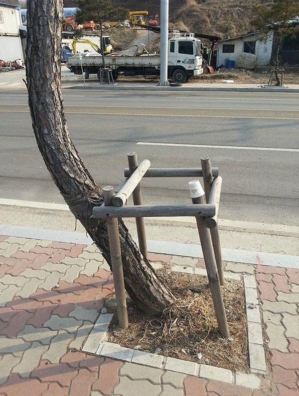 Беспредельщики! III Смешные фото, люди нарушают, запреты,законы, делают что хотят, беспредельщики