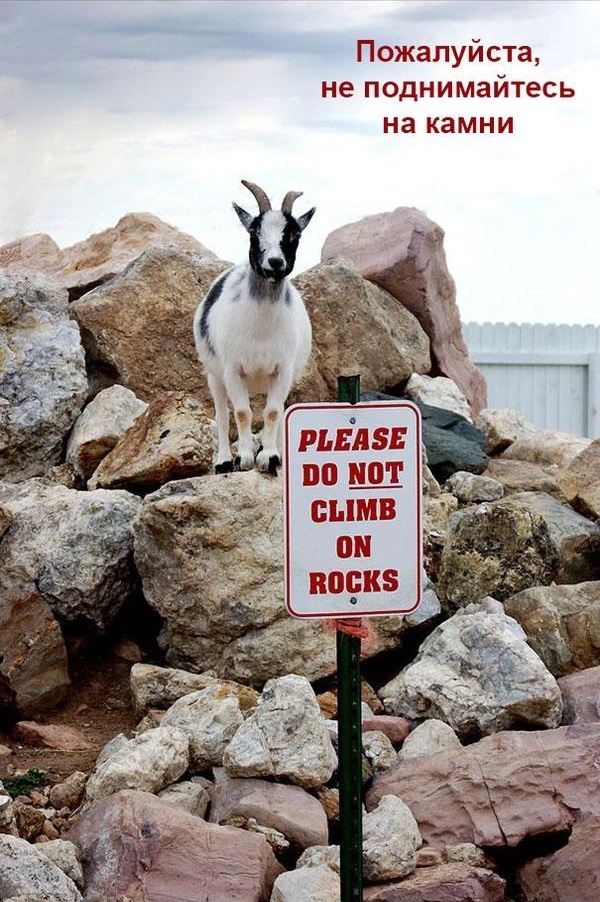 Беспредельщики! III Смешные фото, люди нарушают, запреты,законы, делают что хотят, беспредельщики