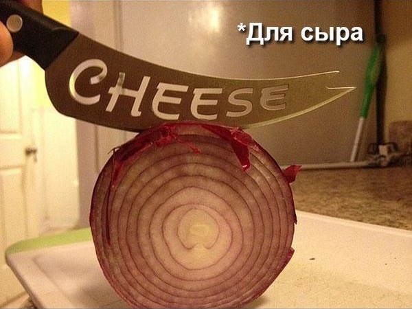 Беспредельщики! III Смешные фото, люди нарушают, запреты,законы, делают что хотят, беспредельщики