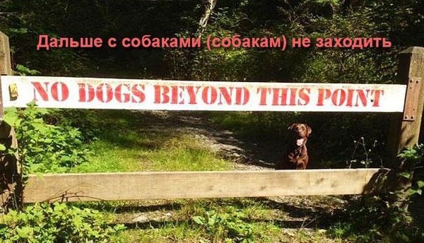 Беспредельщики! III Смешные фото, люди нарушают, запреты,законы, делают что хотят, беспредельщики