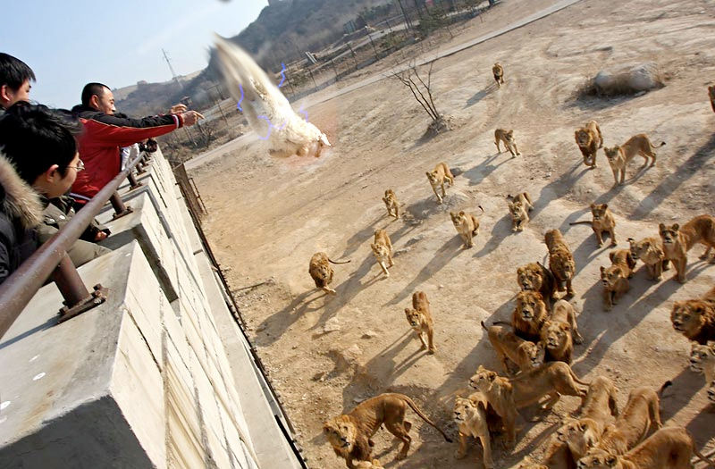 познавательные факты обо всём на свете, спорим вы не знали