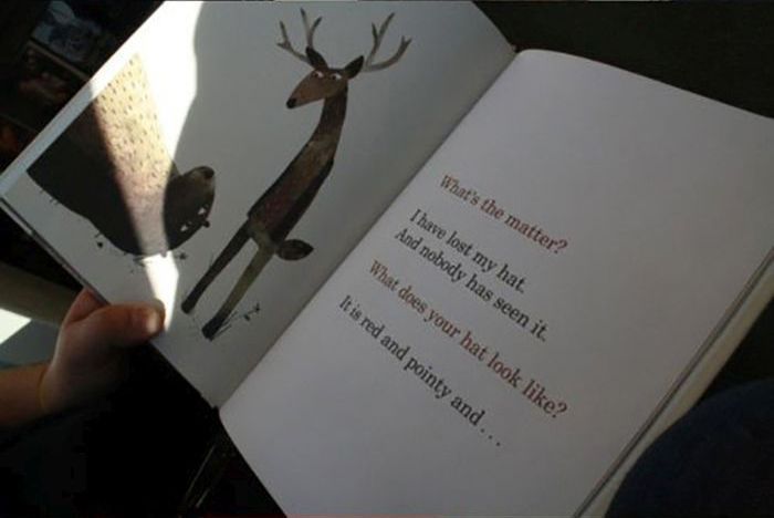 я хочу назад свою шляпу, книга медведь ищет шляпу, книга необычная концовка, Джон Классен, Jon Klassen