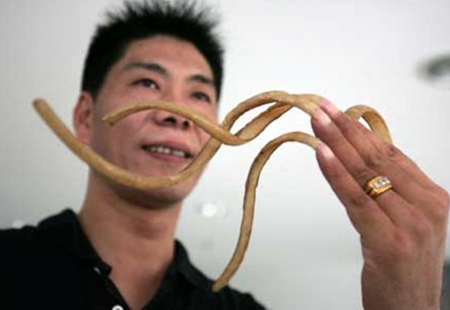 познавательные факты обо всём на свете, спорим вы не знали