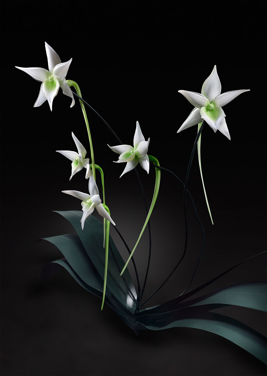 гигантские цветы из стекла,  Джейсон Гамрат, Jason Gamrath, стеклодув цветы огромные, стеклянные цветы