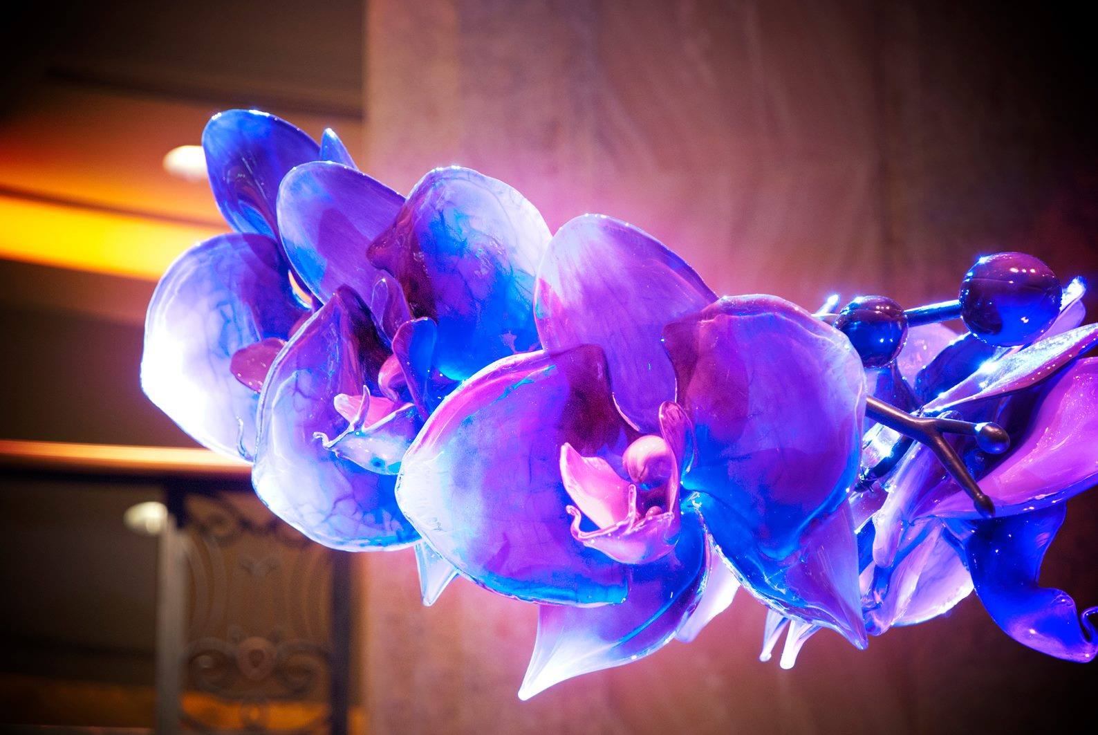 гигантские цветы из стекла,  Джейсон Гамрат, Jason Gamrath, стеклодув цветы огромные, стеклянные цветы