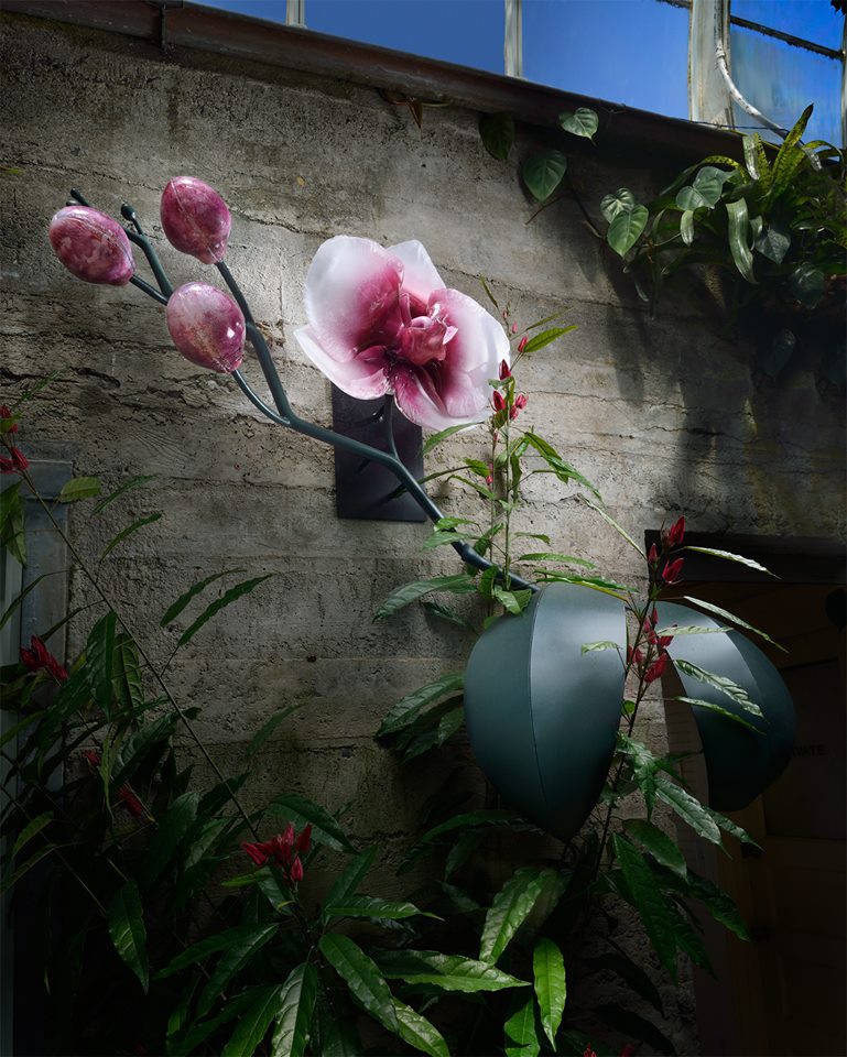 гигантские цветы из стекла,  Джейсон Гамрат, Jason Gamrath, стеклодув цветы огромные, стеклянные цветы