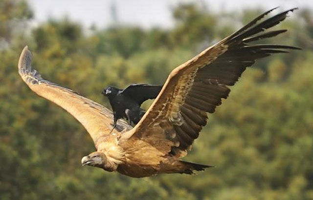 Люди, которые изобрели лень лентяи, ленивые люди