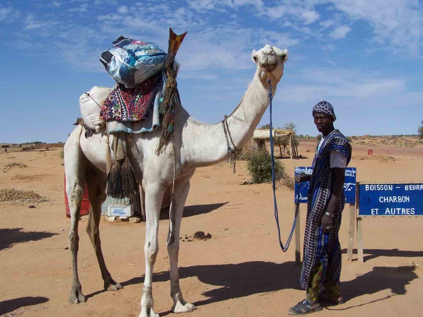 странные дипломатические подарки, нелепые глупые подарки 
