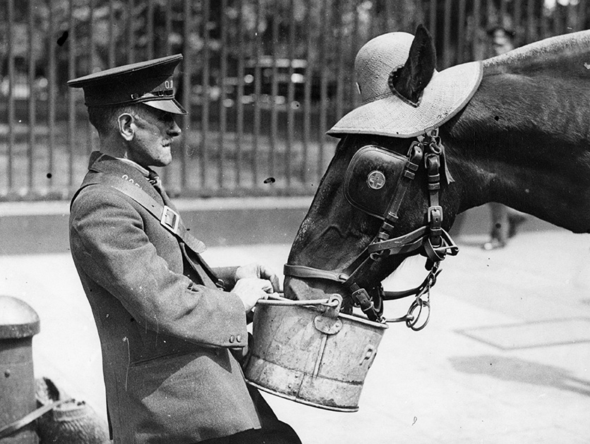 как раньше спасались от жары, лето без кондиционера, как жили люди до кондиционера