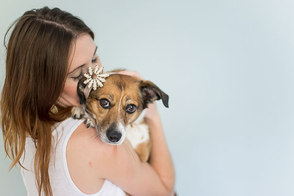 Новорожденная фотосессия с собакой вместо ребенка фотограф, Джейм Клаусс, Jame Clauss, фотосессия собака вместо ребенка, запеленованная собака