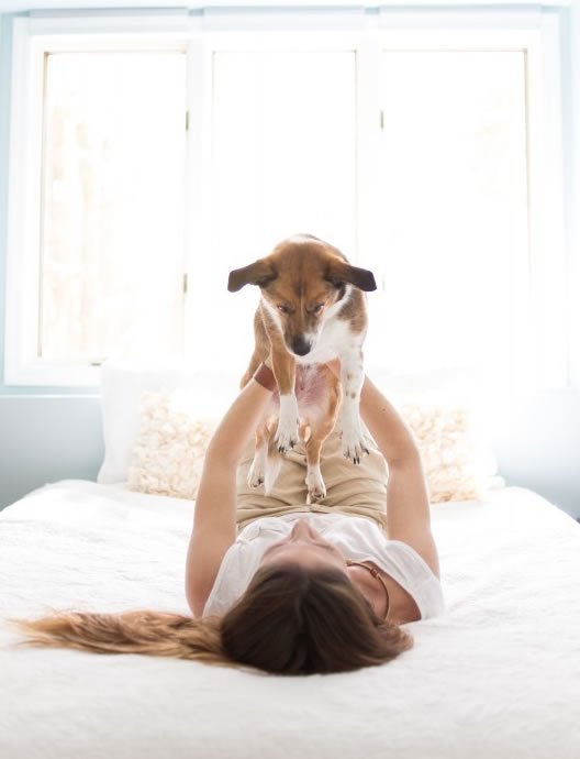 Новорожденная фотосессия с собакой вместо ребенка фотограф, Джейм Клаусс, Jame Clauss, фотосессия собака вместо ребенка, запеленованная собака