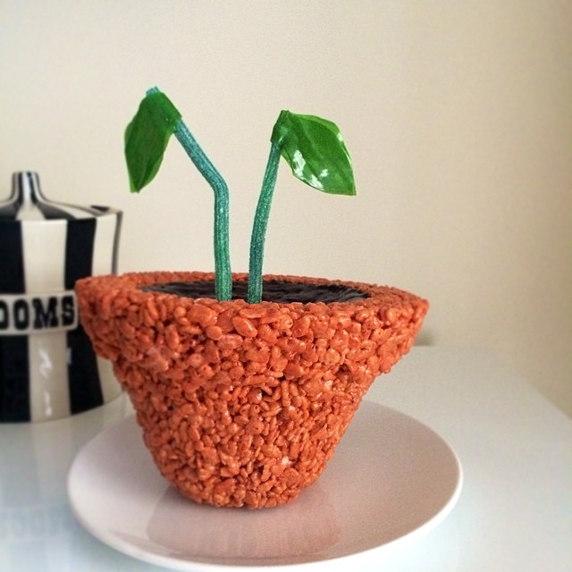 Jessica Siskin Джессика Чиж, из воздушного риса