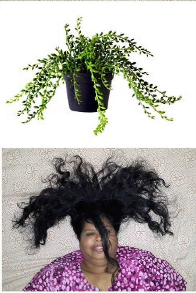 пародии на товары IKEA, люди пародировали товары Икея