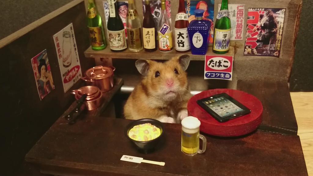 Hamster Bartenders, хомяки бармены, Kawanabesatou