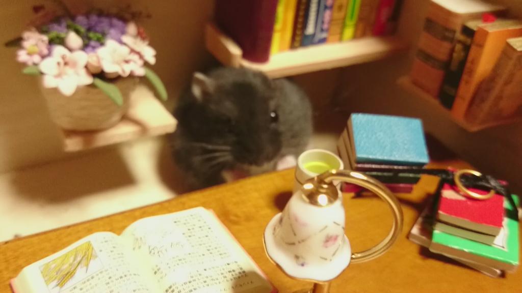 Hamster Bartenders, хомяки бармены, Kawanabesatou