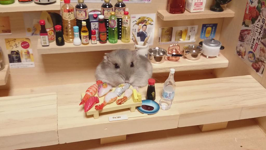 Hamster Bartenders, хомяки бармены, Kawanabesatou