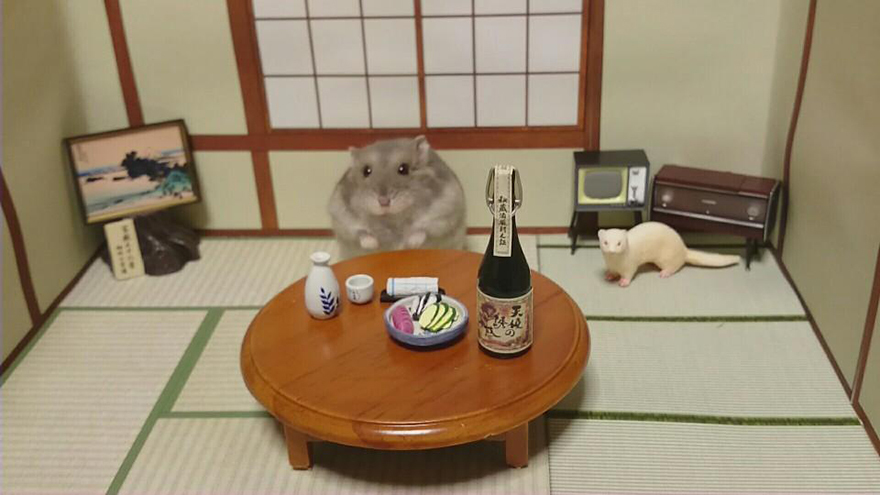 Hamster Bartenders, хомяки бармены, Kawanabesatou