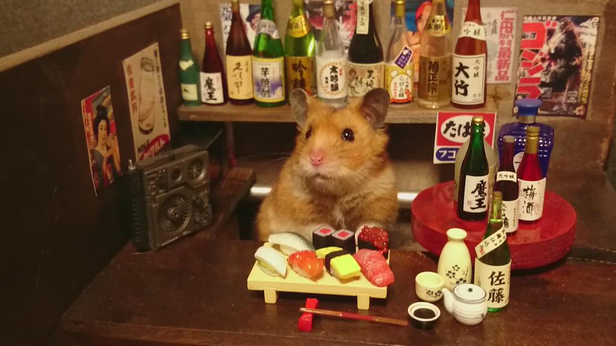Hamster Bartenders, хомяки бармены, Kawanabesatou