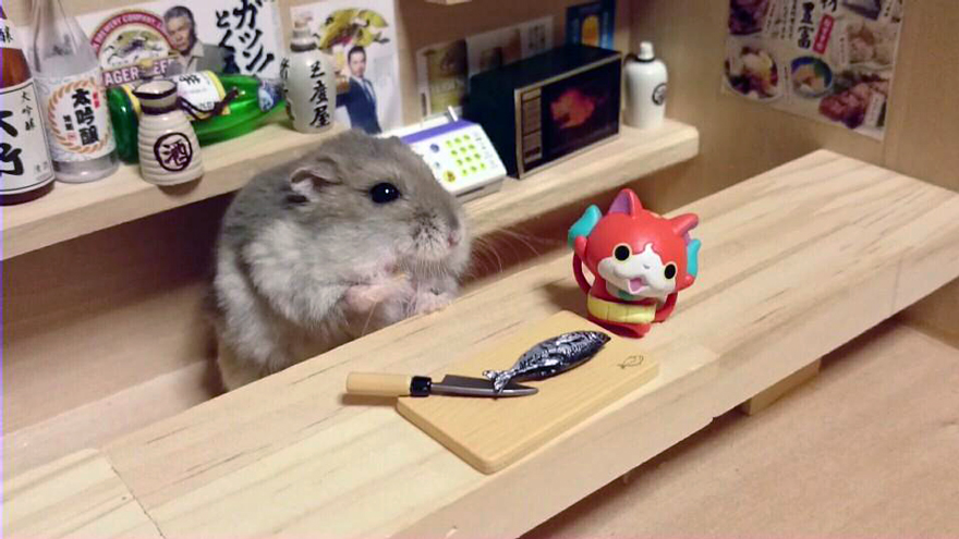 Hamster Bartenders, хомяки бармены, Kawanabesatou
