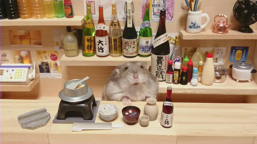 Hamster Bartenders, хомяки бармены, Kawanabesatou