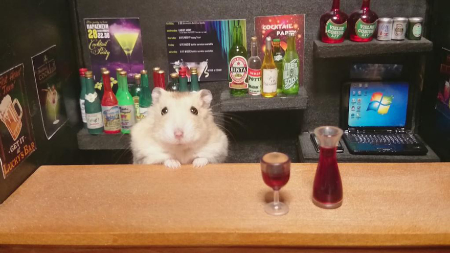 Hamster Bartenders, хомяки бармены, Kawanabesatou