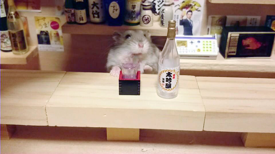Hamster Bartenders, хомяки бармены, Kawanabesatou