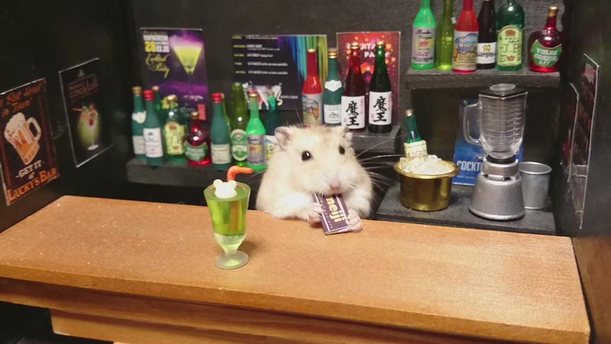 Hamster Bartenders, хомяки бармены, Kawanabesatou