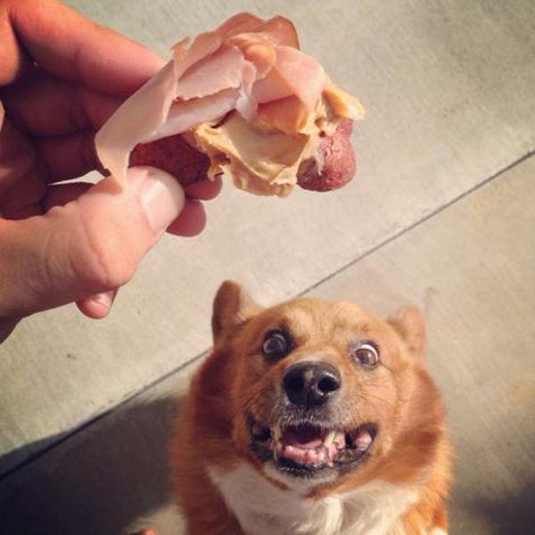 Позитив, юмор, смешные фотографии,прикол