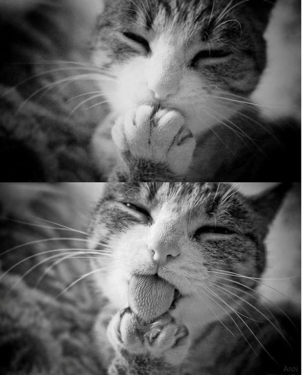 Позитив, юмор, смешные фотографии,прикол