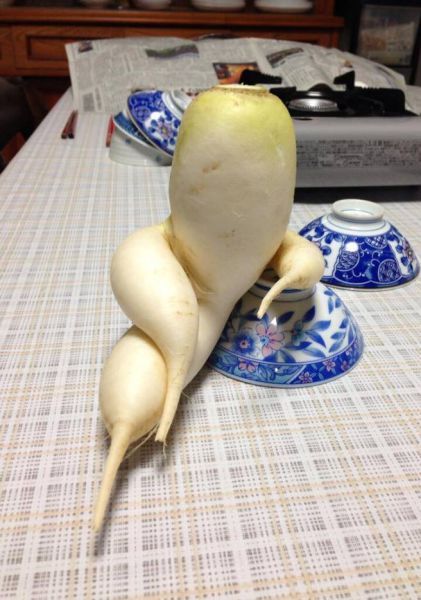 Позитив, юмор, смешные фотографии,прикол