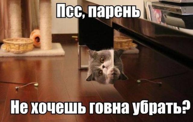 Позитив, юмор, смешные фотографии,прикол