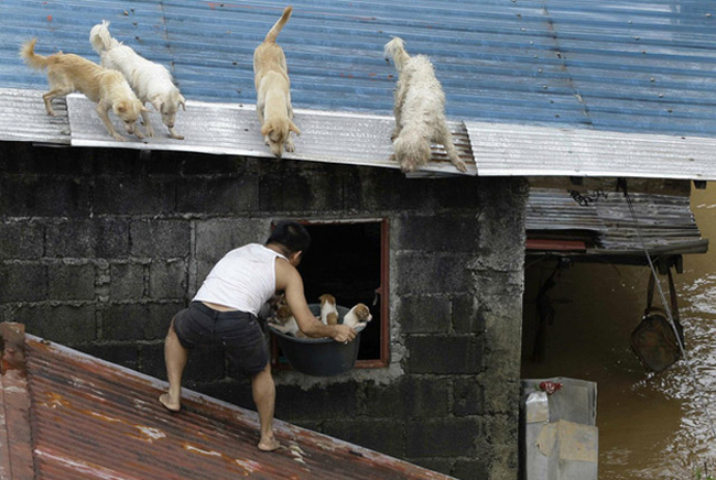 Добрые поступки, которые восстановят вашу веру в человечество добро,доброта, добрые поступки,истории,трогательное