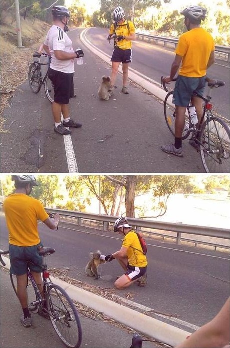Добрые поступки, которые восстановят вашу веру в человечество добро,доброта, добрые поступки,истории,трогательное