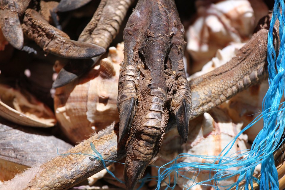 Четыре жутких колдовских рынка для истинных жрецов и настоящих ведьм оккультизм, колдовские рынки, магия, шаманы