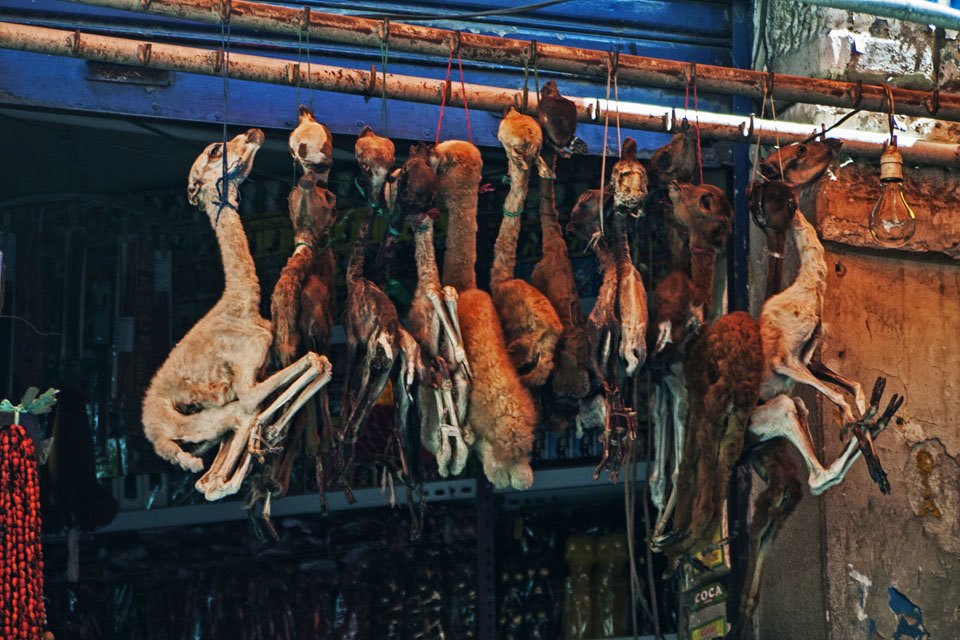 Четыре жутких колдовских рынка для истинных жрецов и настоящих ведьм оккультизм, колдовские рынки, магия, шаманы