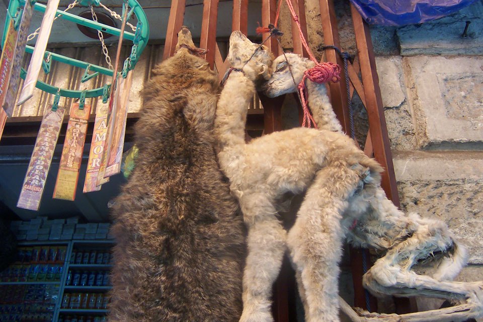 Четыре жутких колдовских рынка для истинных жрецов и настоящих ведьм оккультизм, колдовские рынки, магия, шаманы