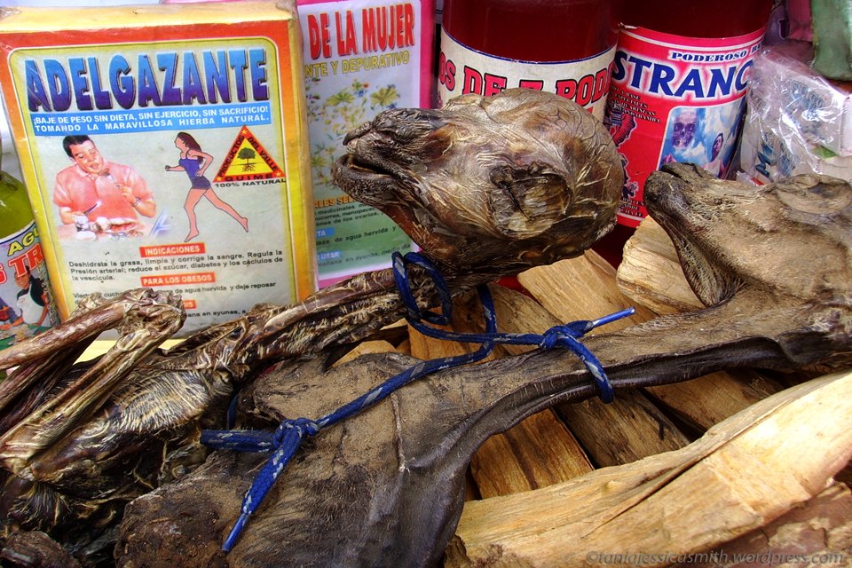 Четыре жутких колдовских рынка для истинных жрецов и настоящих ведьм оккультизм, колдовские рынки, магия, шаманы